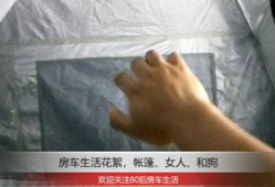 美女与狗交配视频,美女与狗的惊世交配之谜